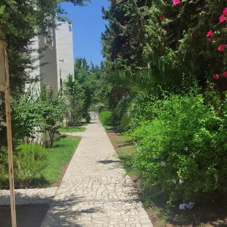 Apartment in Yasmine Hammamet Near the Beach and Marina