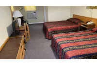 OYO 187 Skyways Motel - 宠物友好