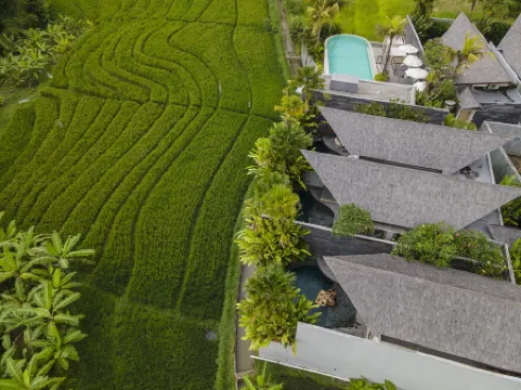 Astera Resort Canggu by iNi Vie Hospitality Отели в г. Бали