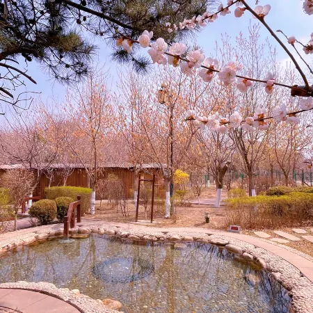 Gold Time Hotel