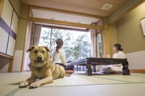 Izumigo Matsusaka Dog Paradise Hotels in Matsusaka