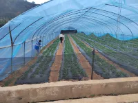 Heping Meihuayuan Homestay