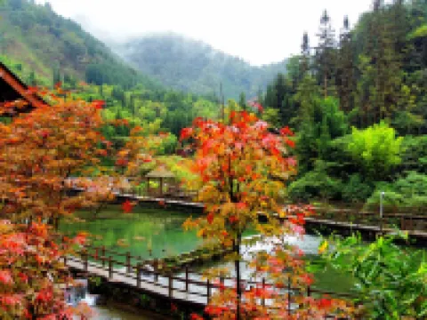 Yingjing, Ya'an. ink painting. Hot Spring Valley, Huaxi District Hotels in Yingjing