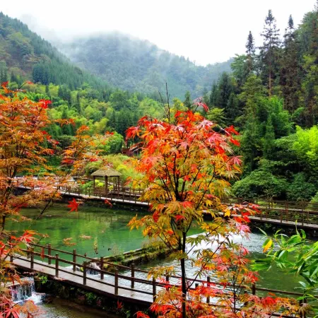 Yingjing, Ya'an. ink painting. Hot Spring Valley, Huaxi District