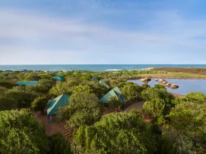 Cinnamon Wild Yala