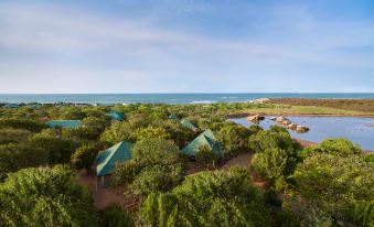 Cinnamon Wild Yala