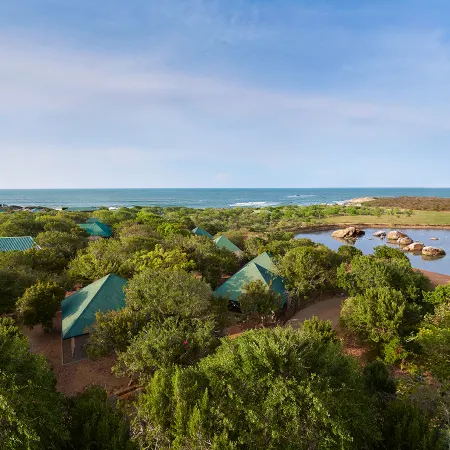 Cinnamon Wild Yala