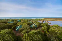 Cinnamon Wild Yala