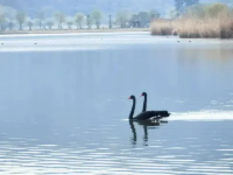 July Hidden Mountain, Sea and Lake Panoramic Resort Villa (Haiyan Nanbei Lake Scenic Area)