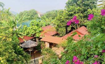 Hue Lotus Homestay