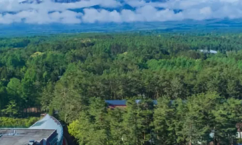 Forest Village (Fuji Premium Resort)