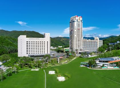 휘닉스 호텔 평창