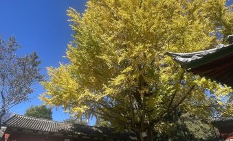 Lijiang Hemuju Yunqi Affordable Guesthouse(South Gate of Ancient Town Branch)