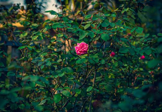 사파 숙소 객실 모습