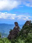Sanqingshan Meditation Chenyin B&B (Eastern Jinsha Cableway Branch)