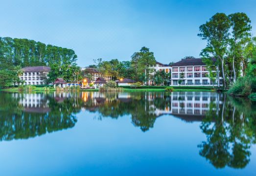 타와 라와디 BW 시니그처 콜렉션