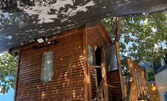 Yining Warm Summer Homestay