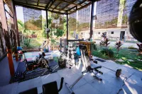 Selectum Mangrove Resort - Gym
