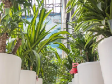 花園廣場布哈拉 鄰近布哈拉機場的酒店