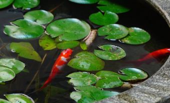 Suzhou Pingjiang Road Yuju · Pingjiang Hotel (Pingjiang Road Historical and Cultural Block)