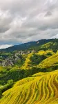 龍脊梯田丘谷民宿（金佛頂展望台） - 絶景