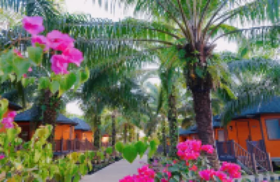 PUDINA RESORT