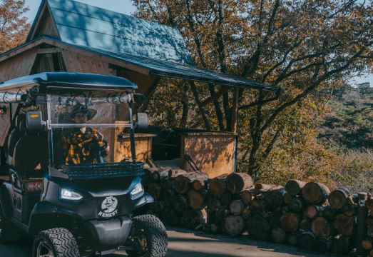 리네스트의 마스코트 양들