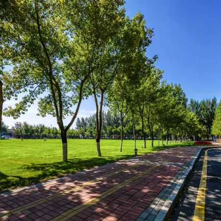 Meishang Homestay (Harbin Taiping International Airport Terminal 2 Branch)