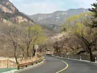 泰山·田園·歸心民宿（桃花峪登山口店） - 新開幕