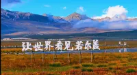 Zoige Desheng Sheye Hotel - Bjergudsigt