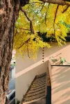 Persimmon Academy Hotel (Chengdu Kuanzhai Alley ) - Designer-hotellit