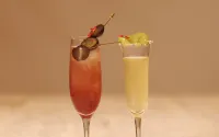 ANA Crowne Plaza OKAYAMA by IHG - bars