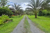 Tuangthong Resort and Wellness Chiangmai - موقف سيارات