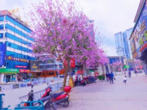 Congjiang Imperial Hotel