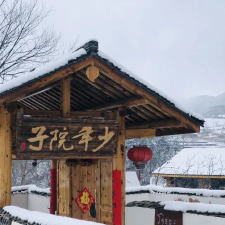 SHAO NIAN YUAN ZI