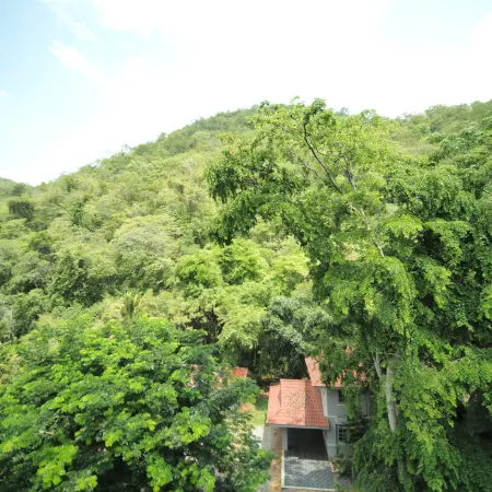 Fortune D Plus Hotel Khaoyai