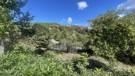 Shengtai Wellness Center