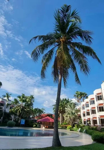 รูปภาพของโรงแรมปาล์มมาลีบีชรีสอร์ท ระยอง