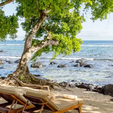 Club Med Albion