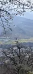 Stone man Hotels near Bei Mountain Park (pingwuxianrenminzhengfuxi)