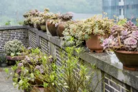 Yunhe Terraced Fields Yijie Homestay