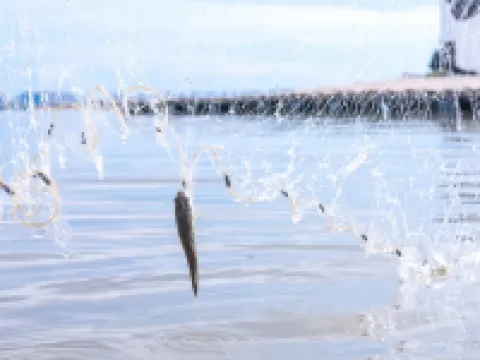 Jianguo Hotel Beihai Haishougang Hotels in Hepu