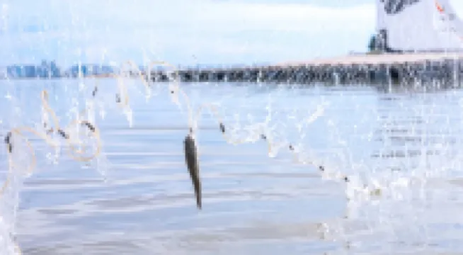 Jianguo Hotel Beihai Haishougang