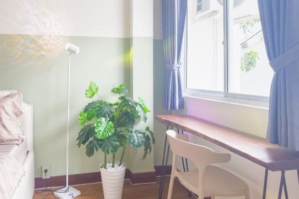 에스테틱 홈즈(Aesthetic Homes)_2