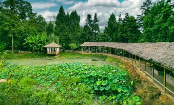Shi Bingwu Guanshan Residential Homestay