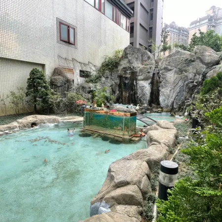 Chuto Plaza Hotel Отели рядом с достопримечательностью «Станция Taoyuan»