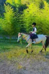 Maoshan · Qingtianye Hotel - Villas