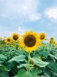 Yiwu Jingjing Art Hotel (International Business City) - 2 stelle
