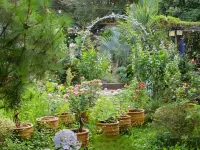 花園祕境·轟趴主題｜月季基地Holiday 日式度假美宿（筆架河店）