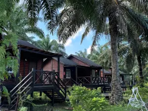 Perfect Forest Eco-Resort